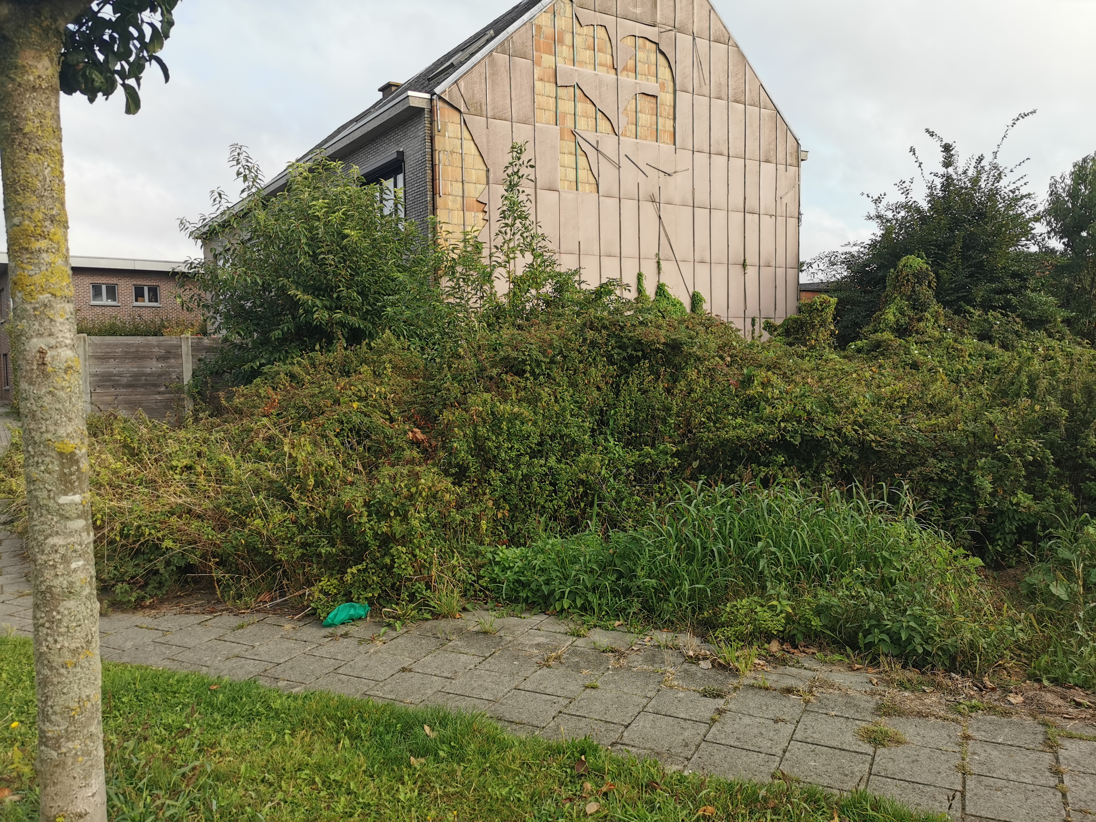 IMG_20240917_100839